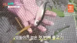 포스터