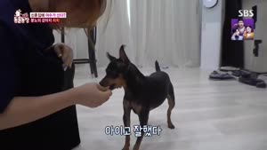 포스터