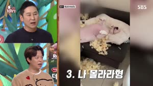 포스터