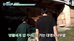 포스터
