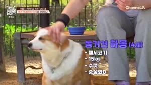 썸네일 이미지