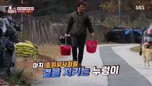 포스터