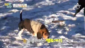 포스터