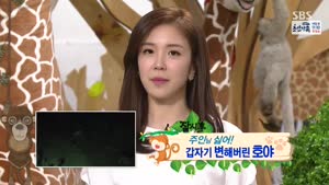 포스터