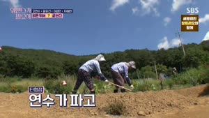 포스터