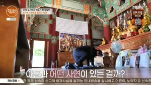 포스터