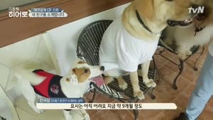 포스터