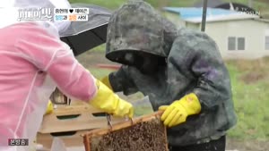 포스터
