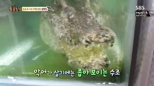 포스터