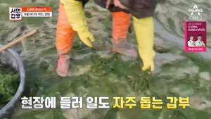 포스터