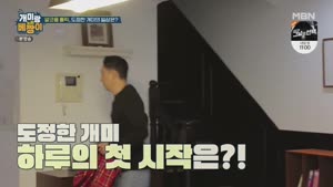 포스터