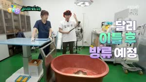 포스터