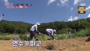 포스터