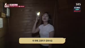 포스터