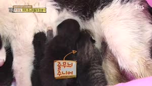 포스터