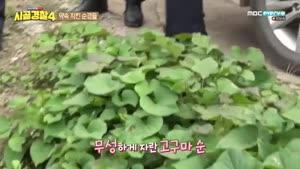 포스터
