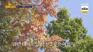 포스터