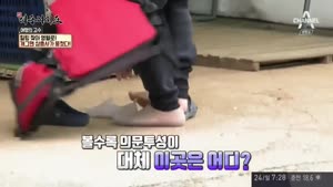 포스터