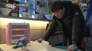 포스터