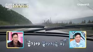 포스터