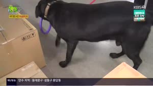 postimage