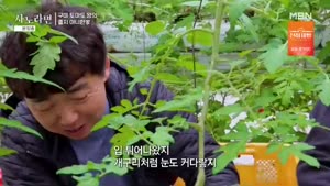 포스터