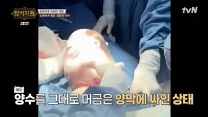 포스터