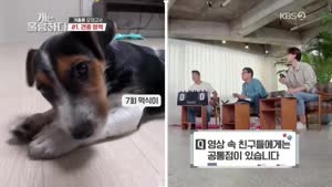 포스터