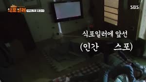 포스터