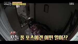 포스터