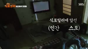 포스터