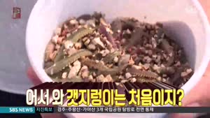 포스터
