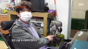 포스터