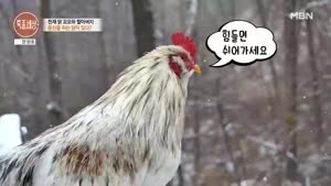포스터