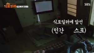 포스터