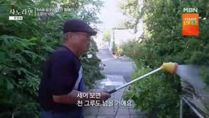 휴먼다큐 사노라면.E760.261004.1080p.H264-F1RST