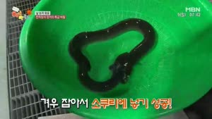 포스터