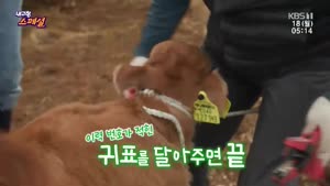 포스터
