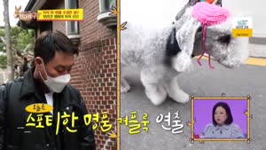 포스터