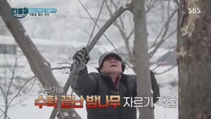 포스터