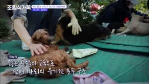 포스터