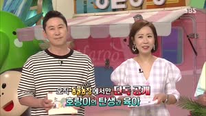 포스터