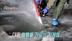 포스터