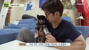 포스터
