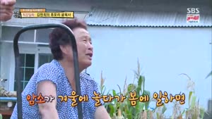 포스터