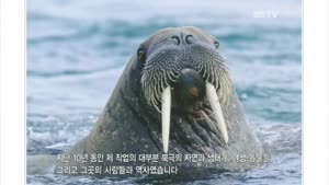 OBS 스페셜 - 박상원의 하나뿐인 지구.HDTV.720p.x264-STA