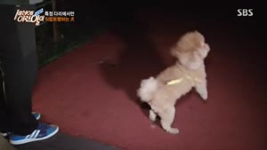 포스터