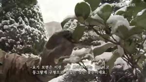 OBS 테마스페셜 - 겨울나무.HDTV.720p.x264-STA