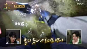 포스터