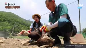 포스터